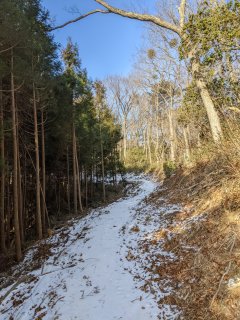 作業用の道路