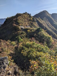 万之助山が見える