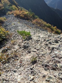 露岩の稜線