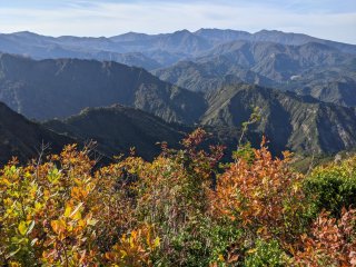 万之助山の展望