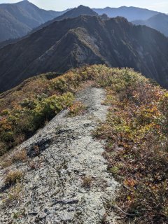 随分と深いコルが見えてきました