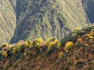 尾根の上の紅葉