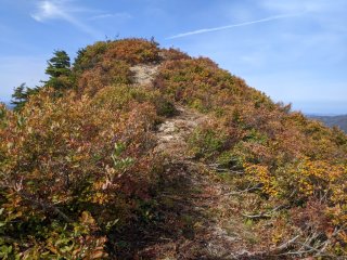 山頂の紅葉