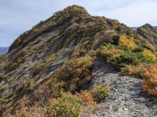 万之助山を振り返る