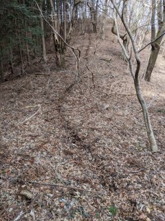 尾根のふみ跡