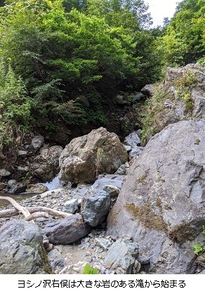 ヨシノ沢右俣は滝で始まる